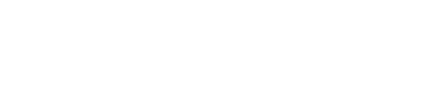 Pacific Analytics Logo